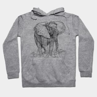 African Elephant, Savanna, Wildlife, Animal Hoodie